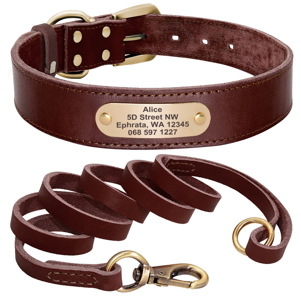 Leather Dog Collar Leash Set Personalized  Free Engraving