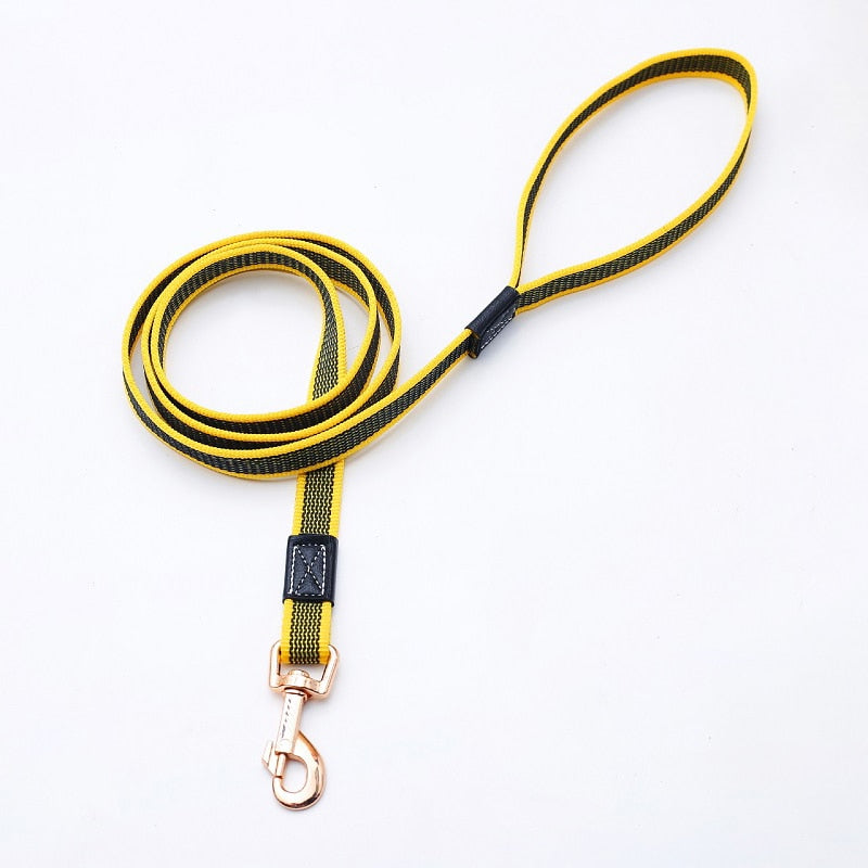 2m 3m 5m long Dog Lead