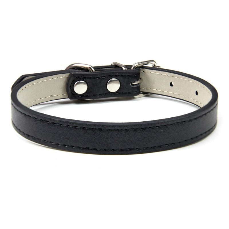 1PC Adjustable Colourful Pet Collar