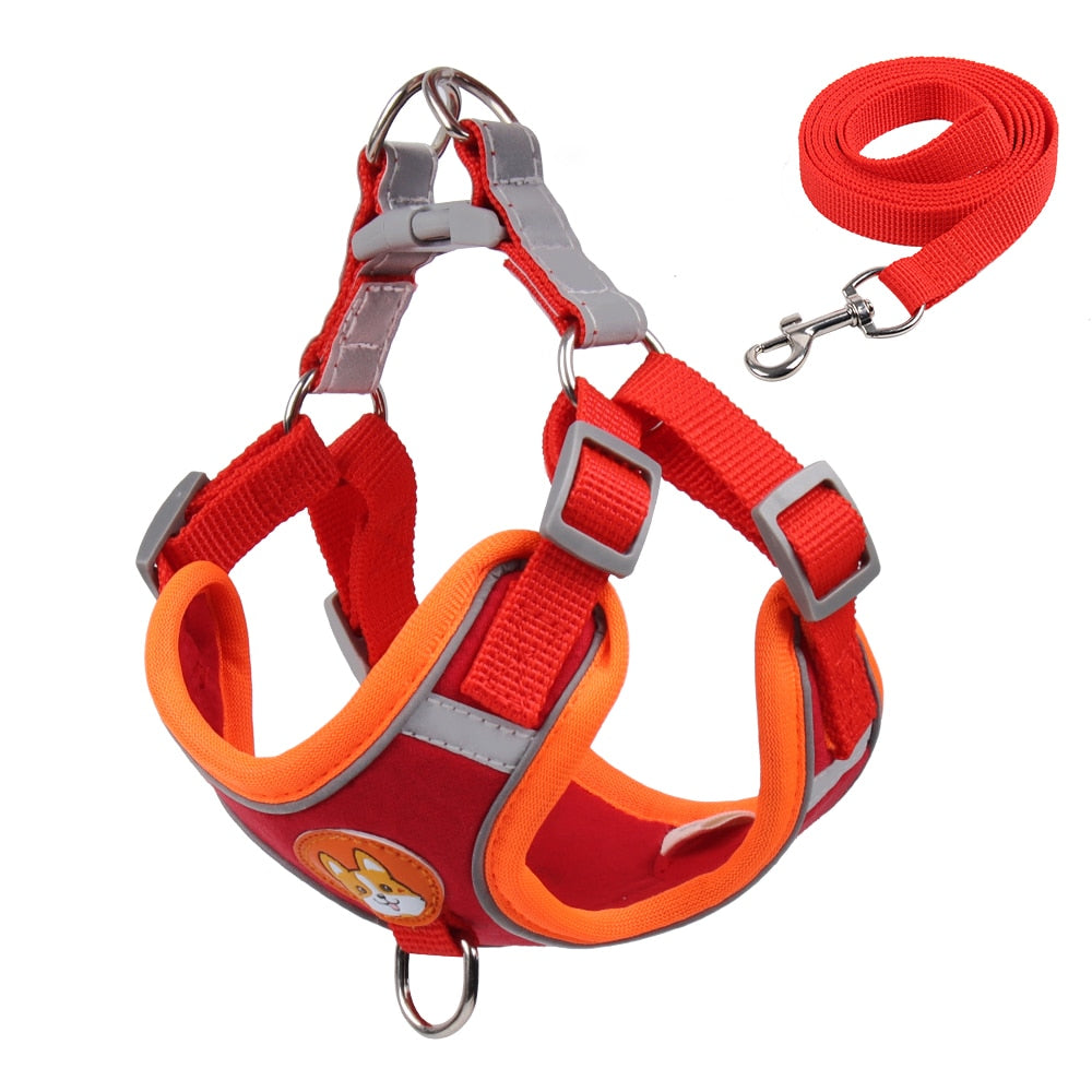 Dog harness and leash set