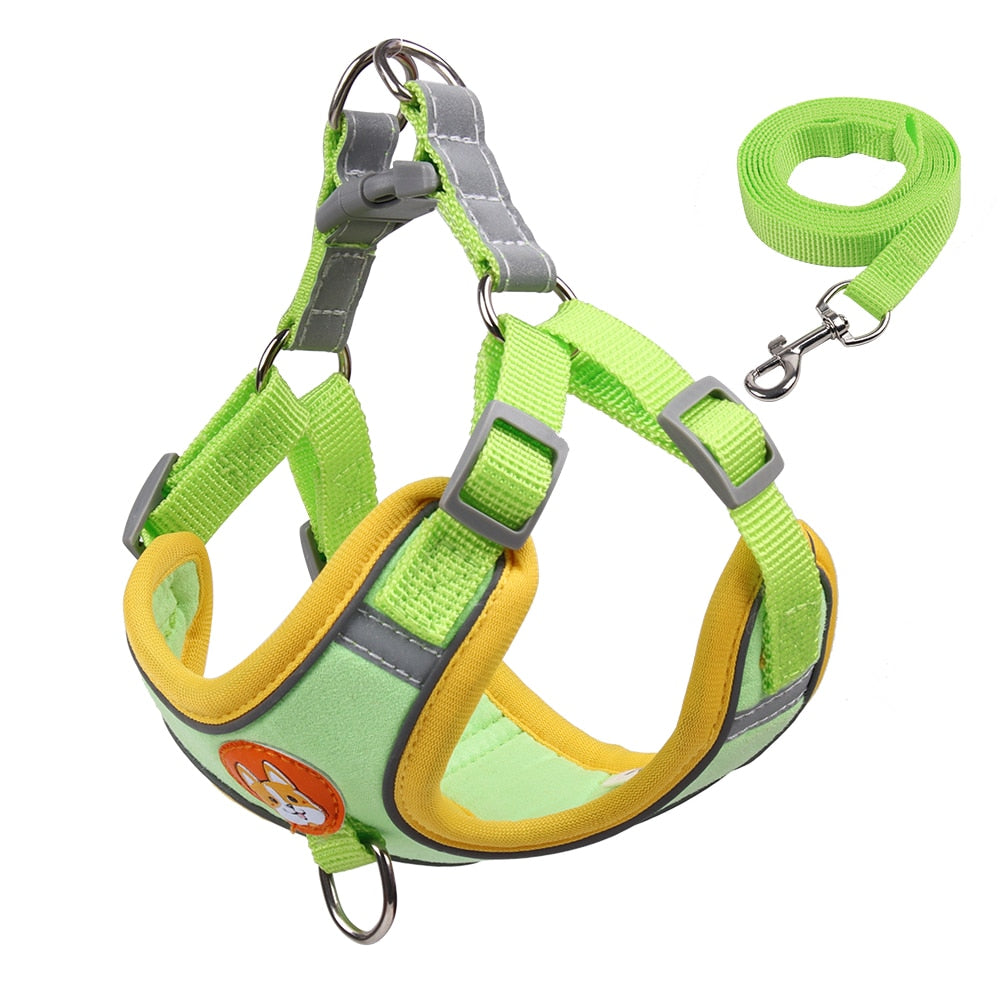 Dog harness and leash set