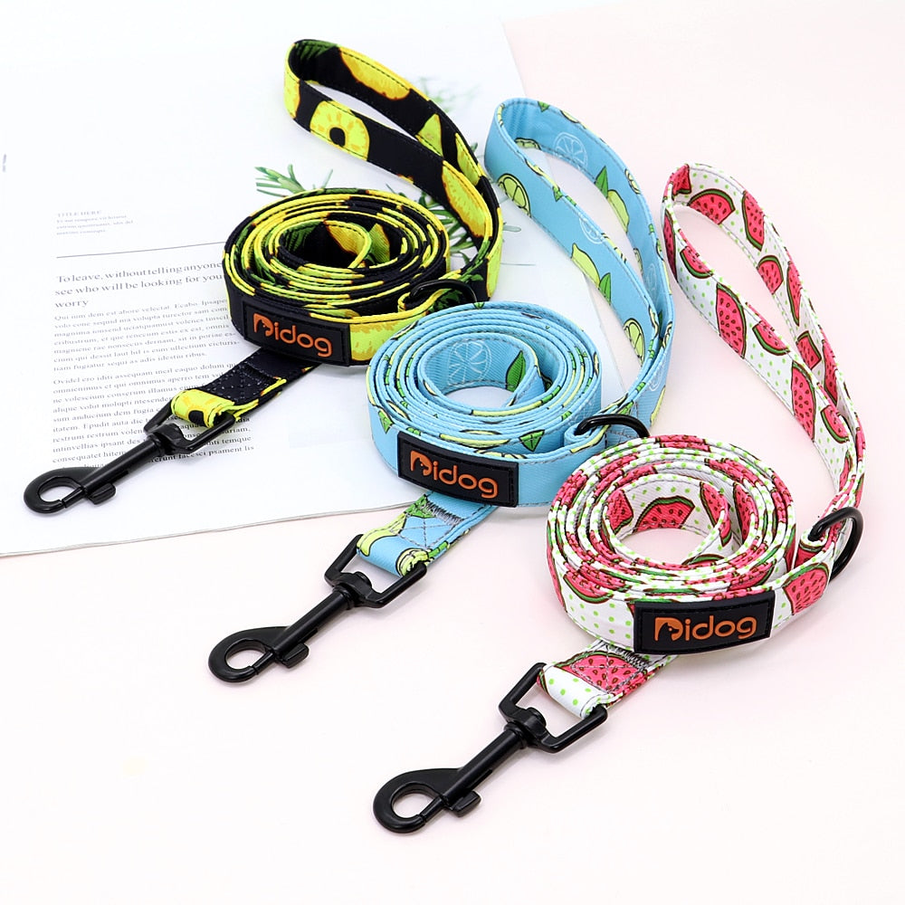 Didog nylon dog leash 150cm