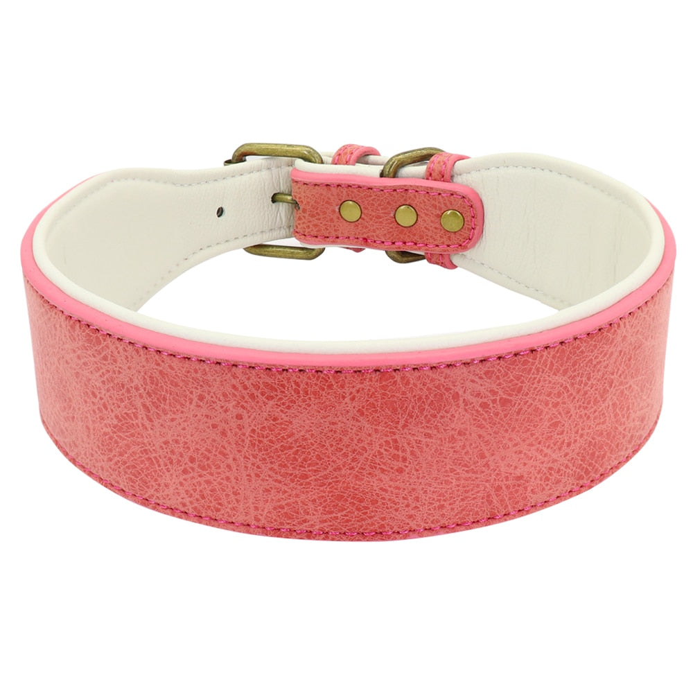 Wide leather dog collar