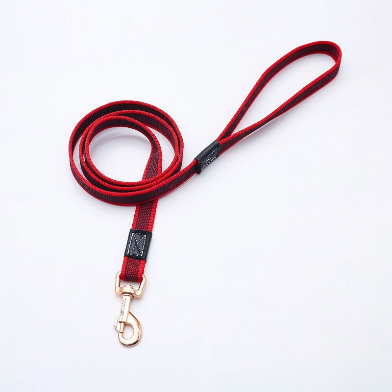 2m 3m 5m long Dog Lead