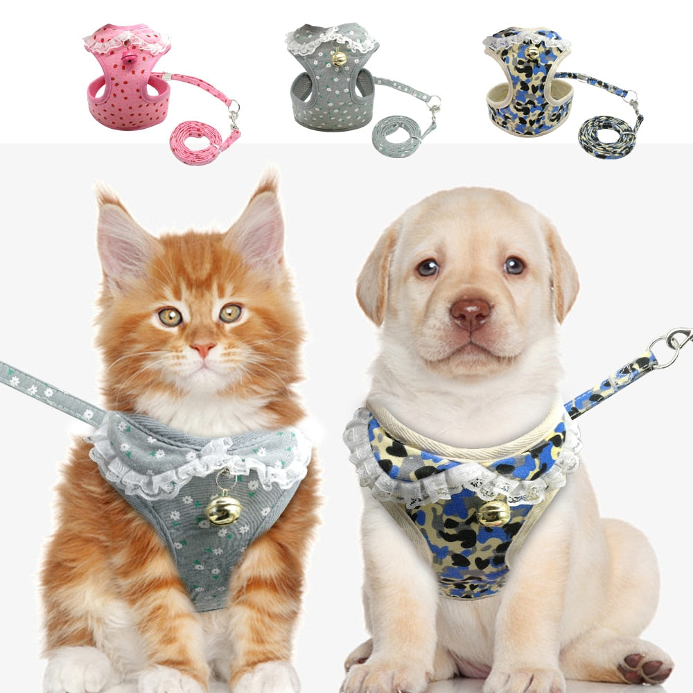 Didog dog/cat harness with lead set