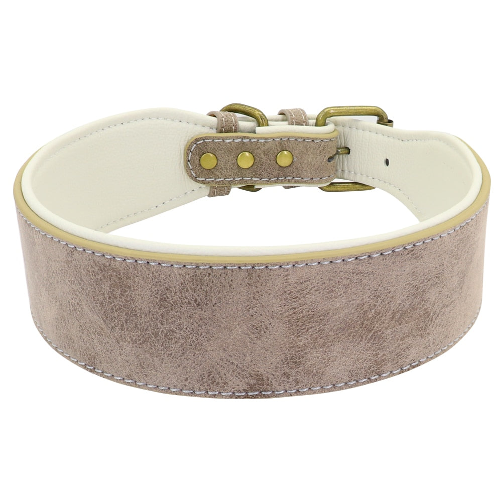 Wide leather dog collar