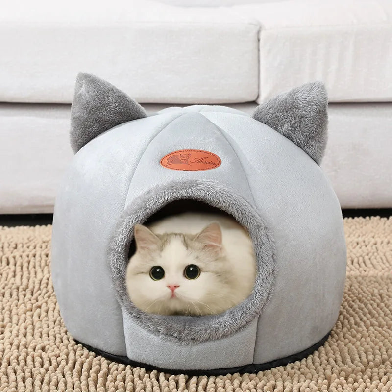 New deep sleep cat house