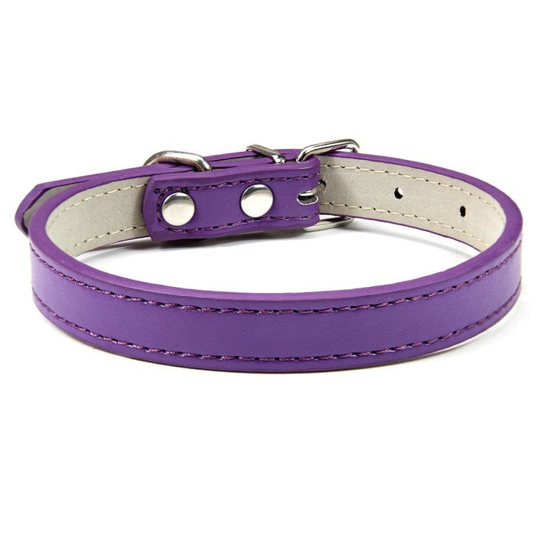 1PC Adjustable Colourful Pet Collar