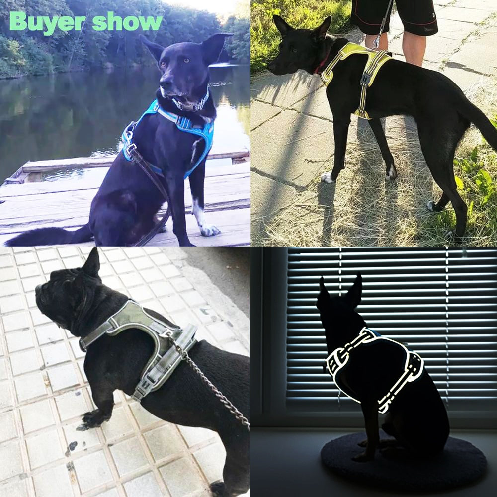 Reflective nylon dog harness