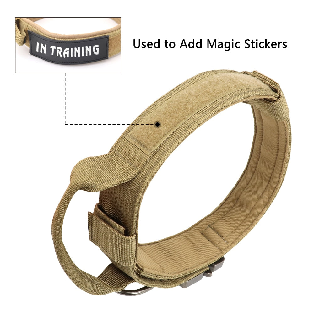 Military tactical dog collar