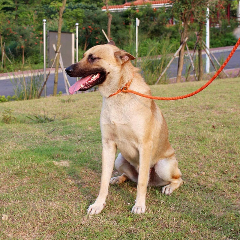 Orange/black 185cm training dog lead