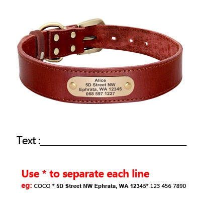 Leather Dog Collar Leash Set Personalized  Free Engraving