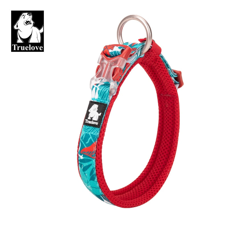 Truelove floral dog collar