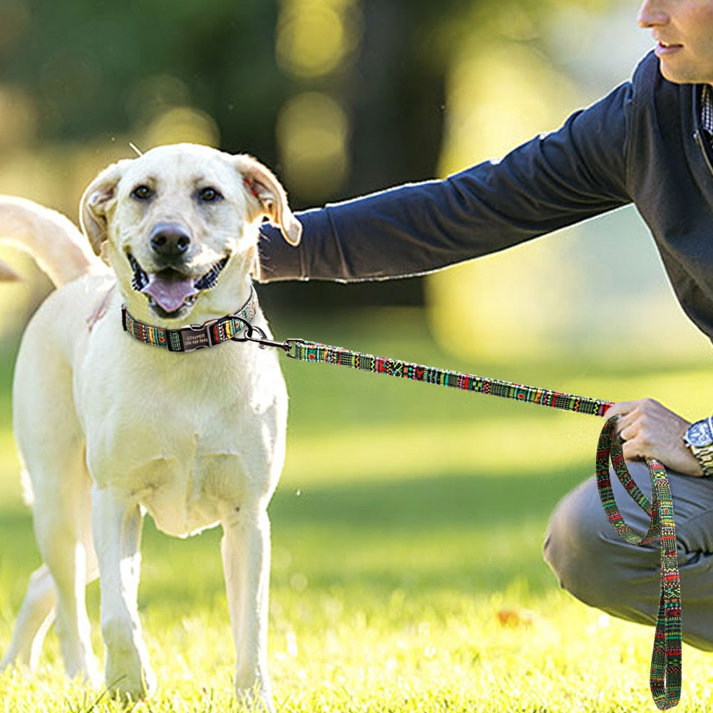 Custom dog collar with name ID and lead