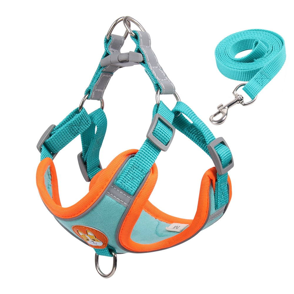 Dog harness and leash set