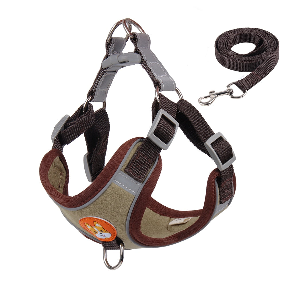 Dog harness and leash set