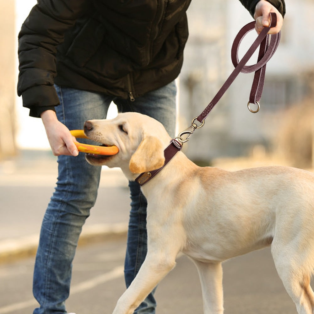 Leather Dog Collar Leash Set Personalized  Free Engraving