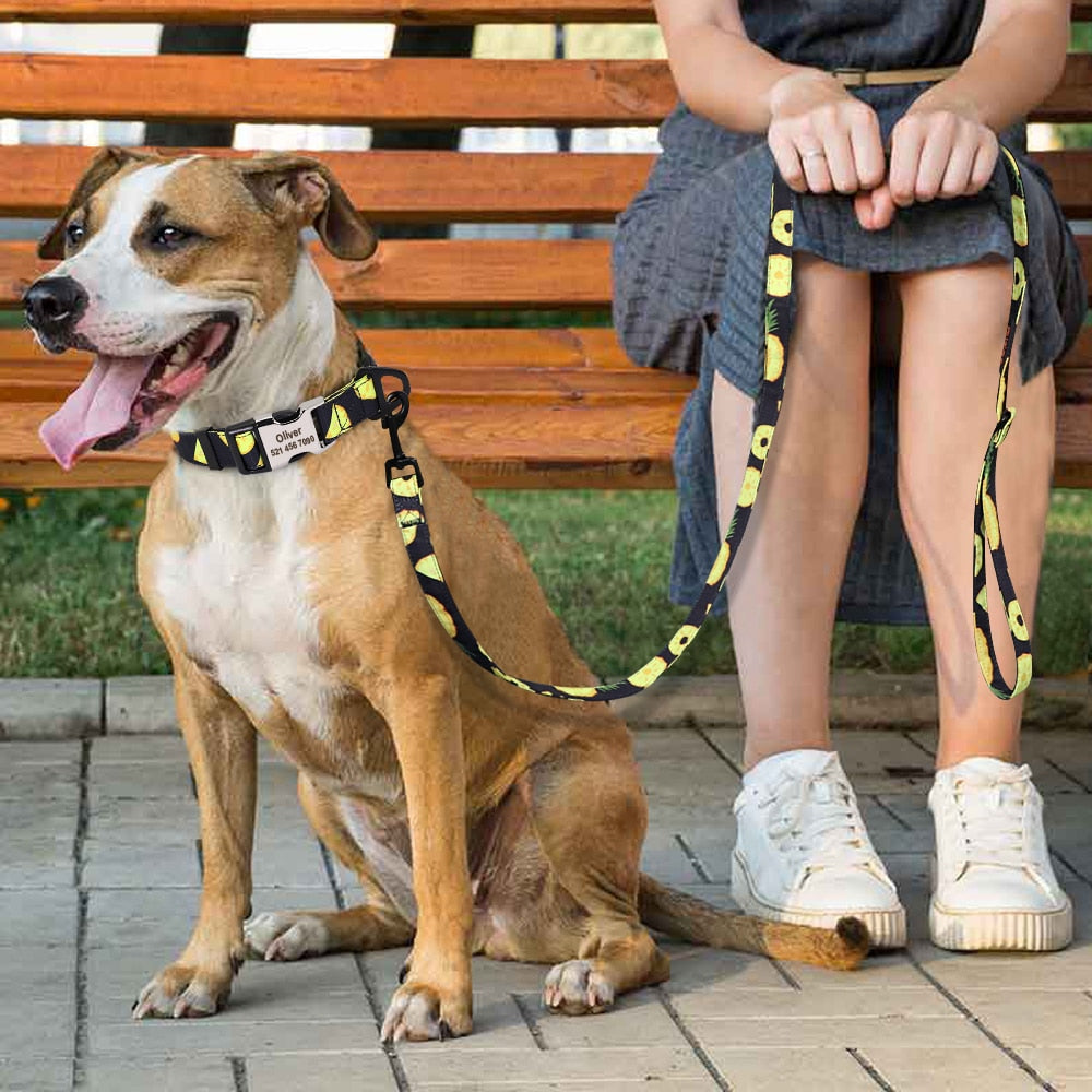 150cm Nylon Dog Leash Printed