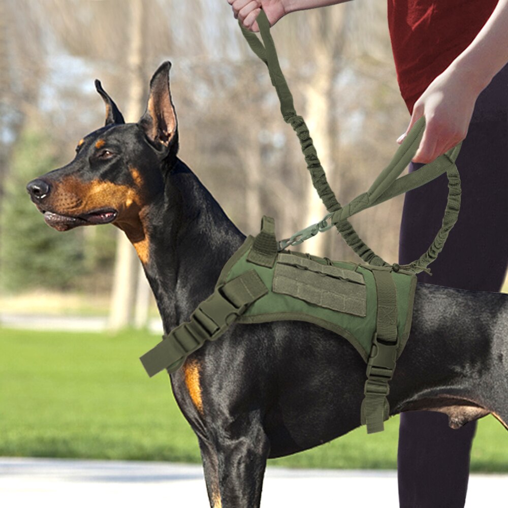 Pet Artist Tactical Dog Harness & Lead Set