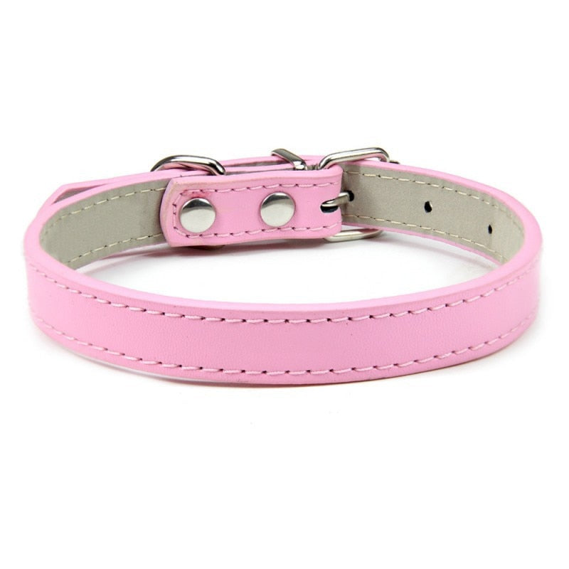 1PC Adjustable Colourful Pet Collar