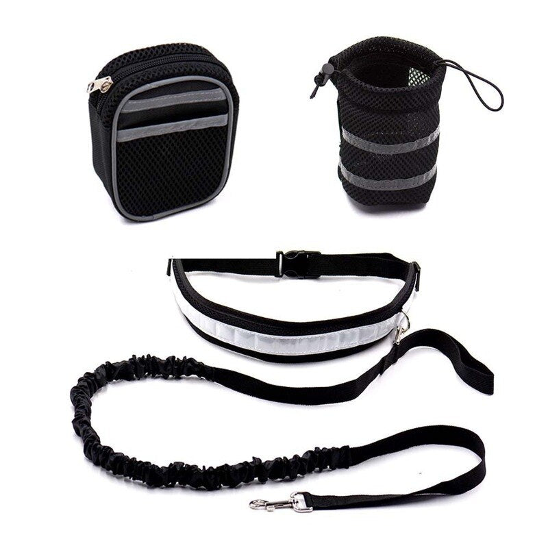 Dog waist belt and lead for running 4pc/5pcs set