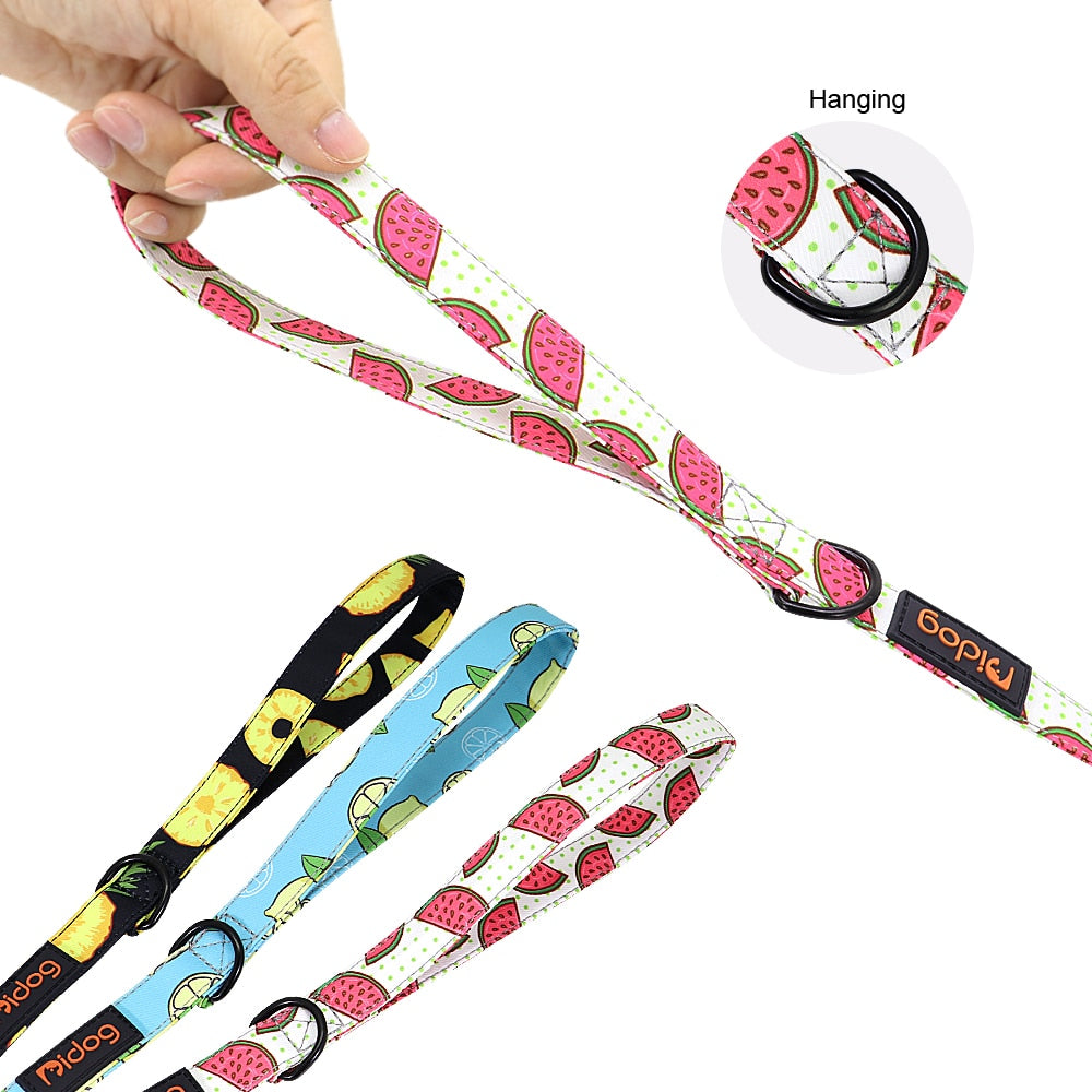 150cm Nylon Dog Leash Printed