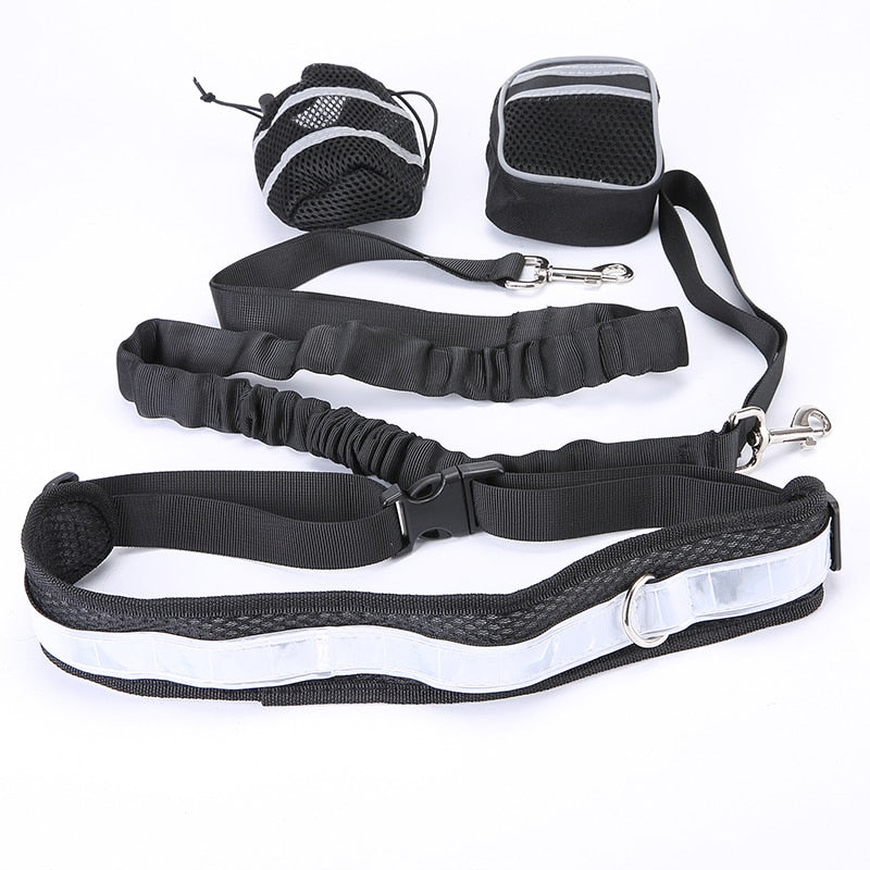 Dog waist belt and lead for running 4pc/5pcs set