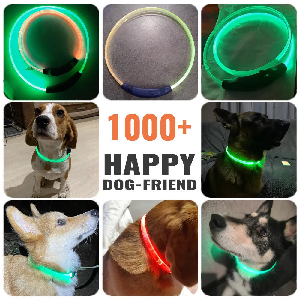 DOGCARE 7 Colors  LED Dog Collar