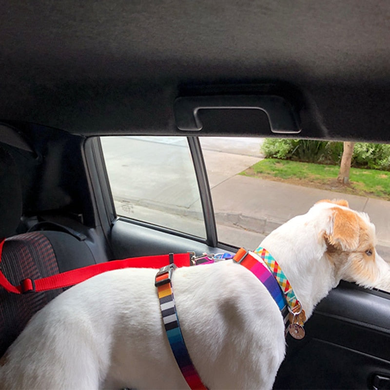 Two-in-one dog car seatbelt