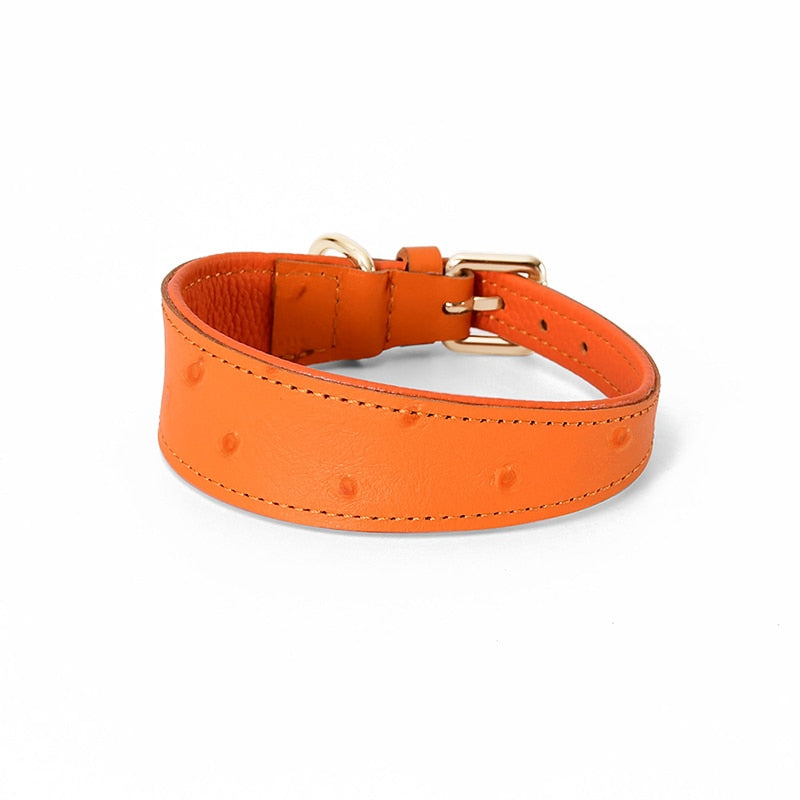 CAWAYI KENNEL Leather Dog Collar