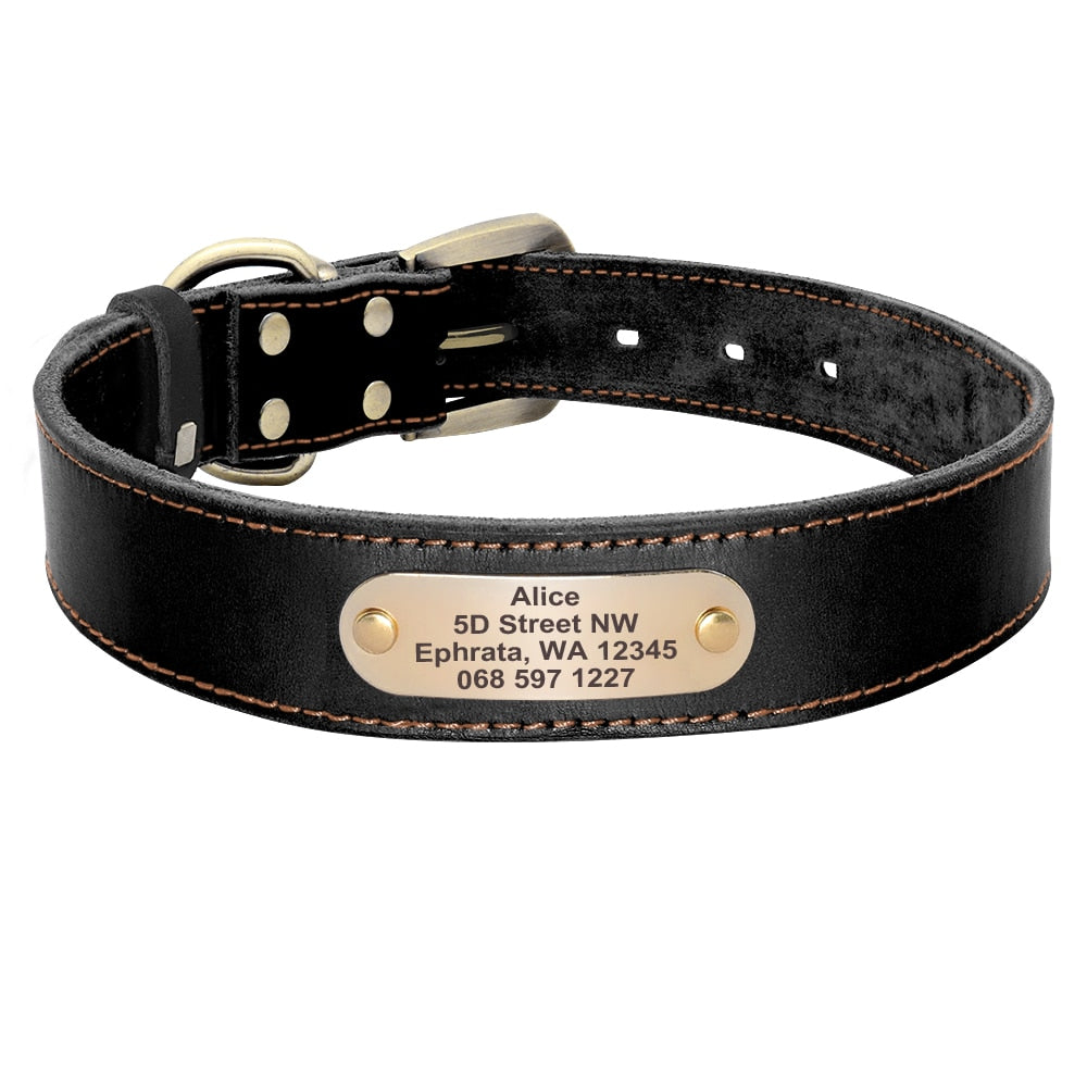 Leather Dog Collar Leash Set Personalized  Free Engraving