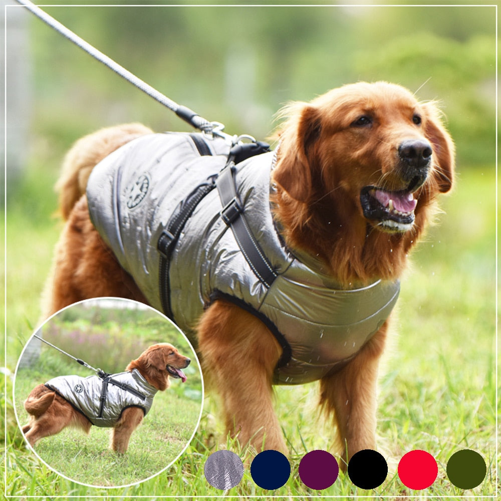 Large Dog Jacket With Harness