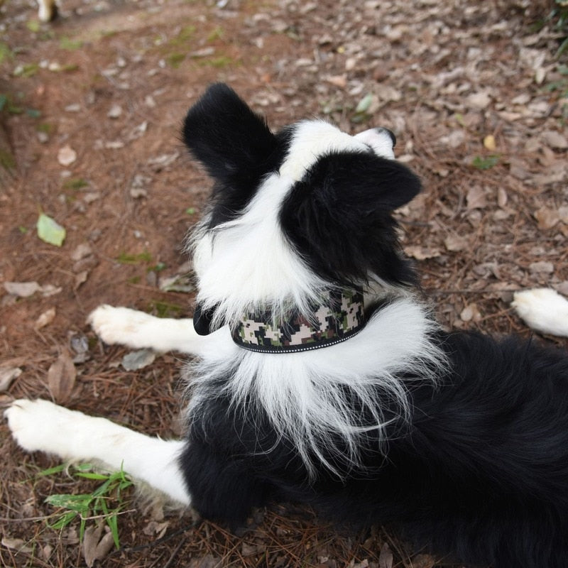 Reflective adjustable collar for medium/large dogs