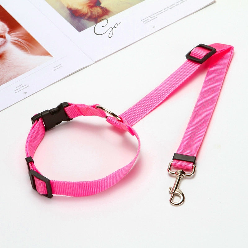 Two-in-one dog car seatbelt