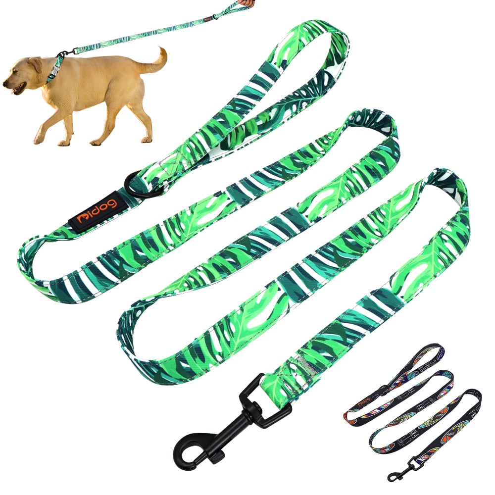 Didog nylon dog leash 150cm