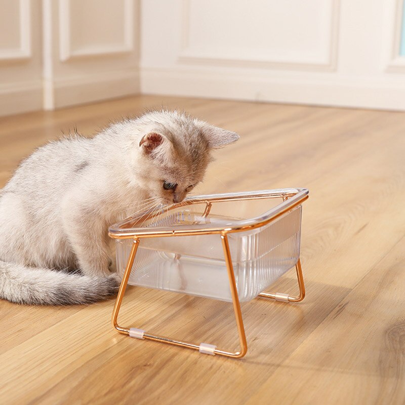 Non-Slip Double Cat Bowl