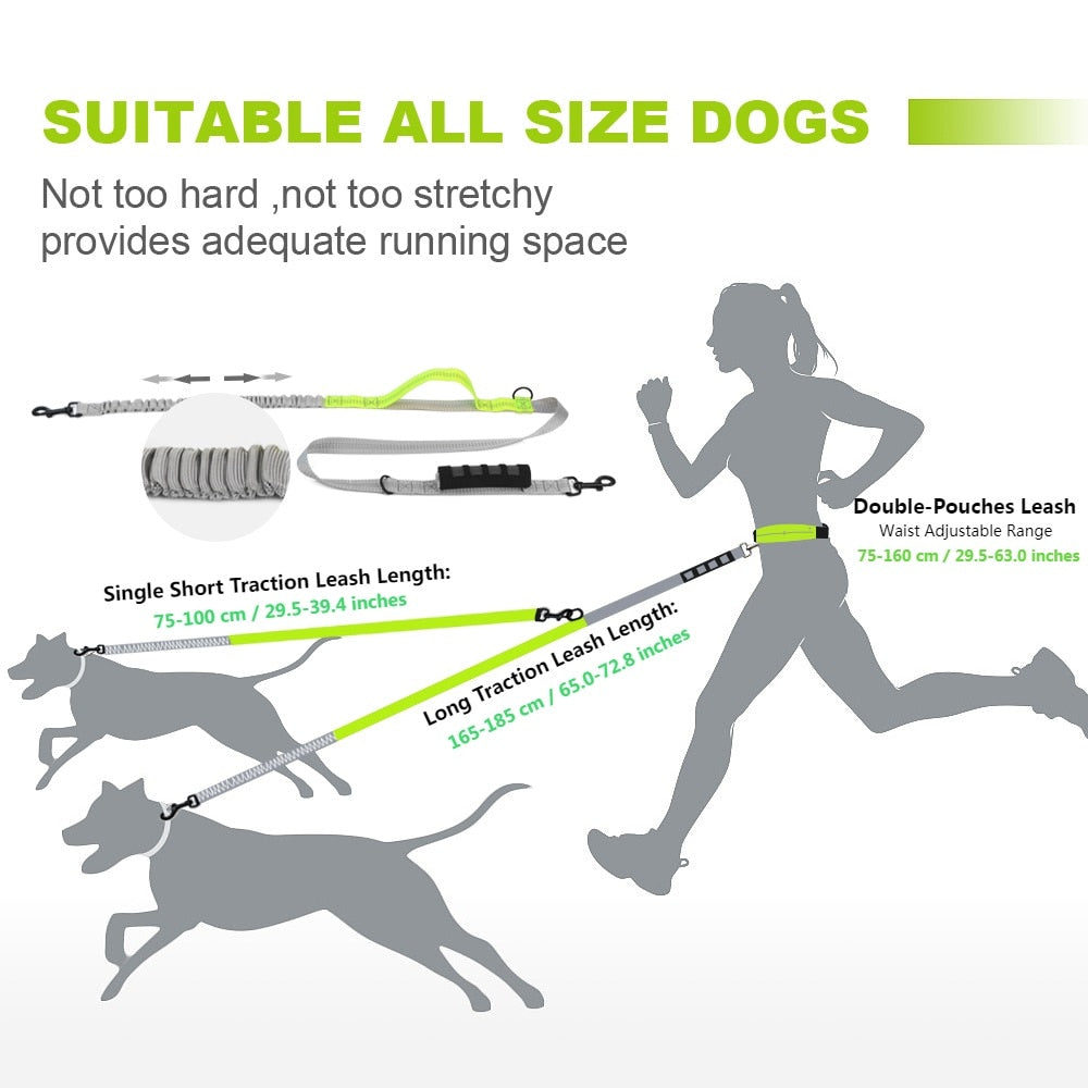 Elastic double dog lead 