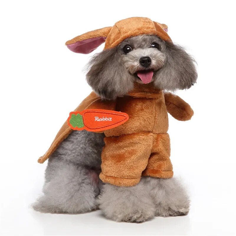 Dog party dress up costume