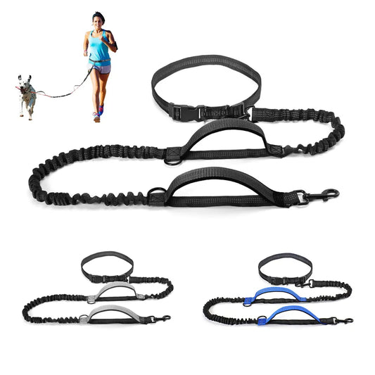 Retractable Hands Free Dog Leash For Running Dual Handle Bungee Leash