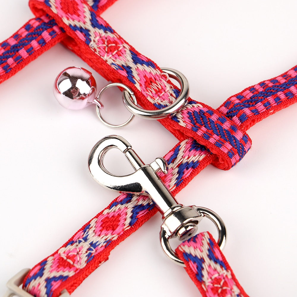 Nylon cat harness and lead set