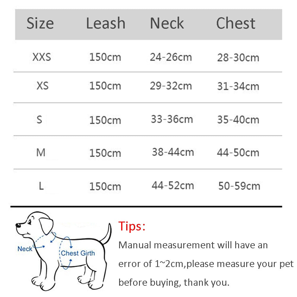 Dog harness & leash set for small dogs