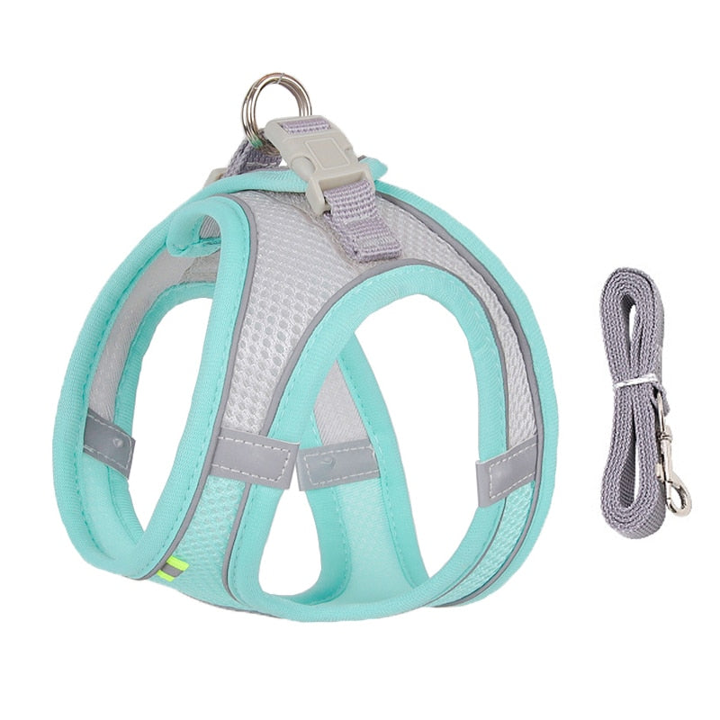 Dog harness & leash set for small dogs