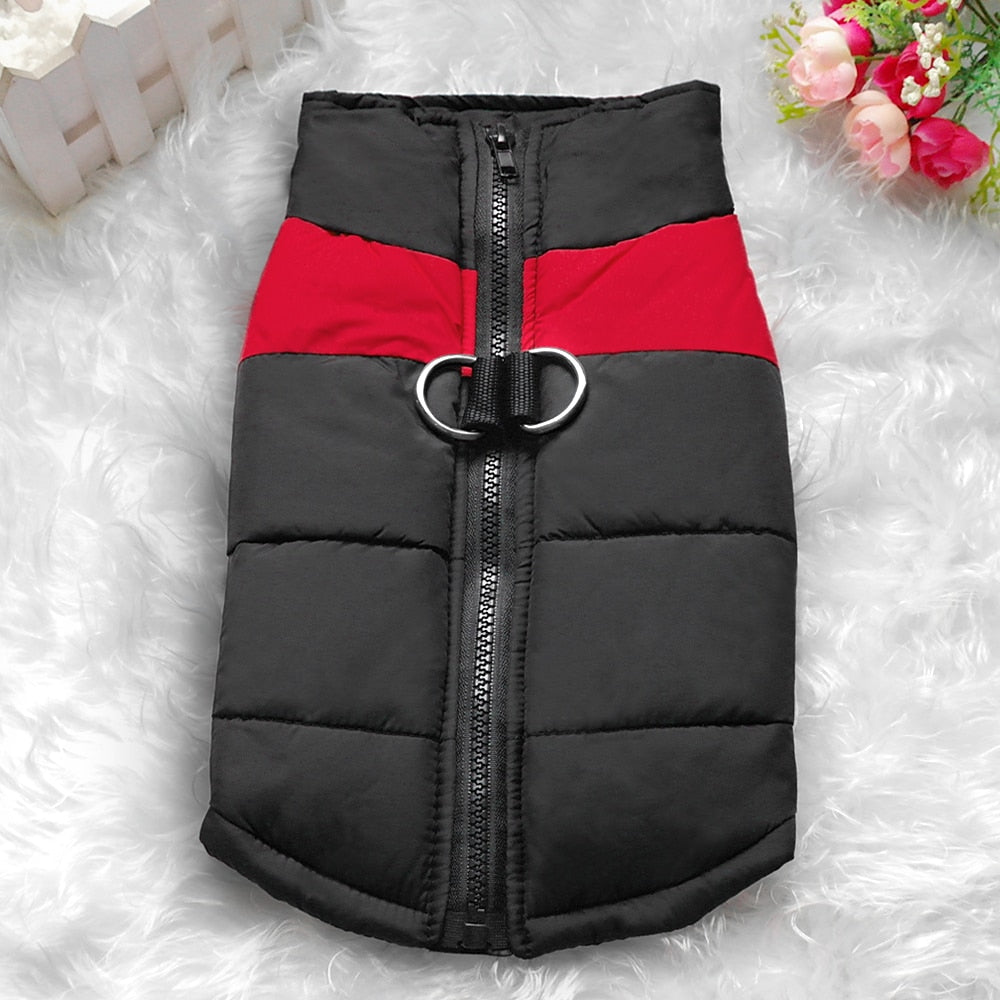 Winter dog vest