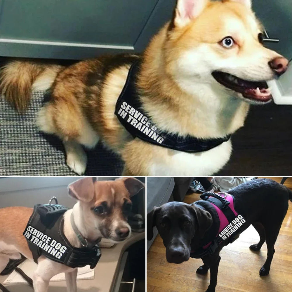 Dog adjustable harness customized ID