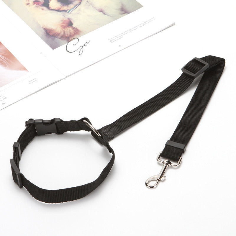 Two-in-one dog car seatbelt