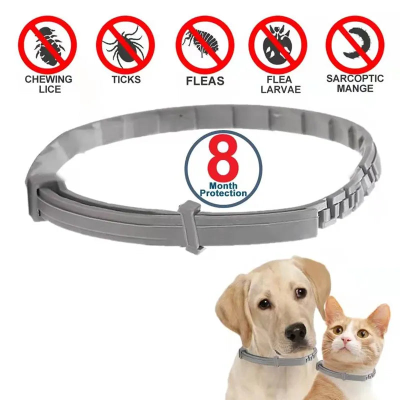 Anti Flea And Ticks  Collar for Pets  8Month Protection