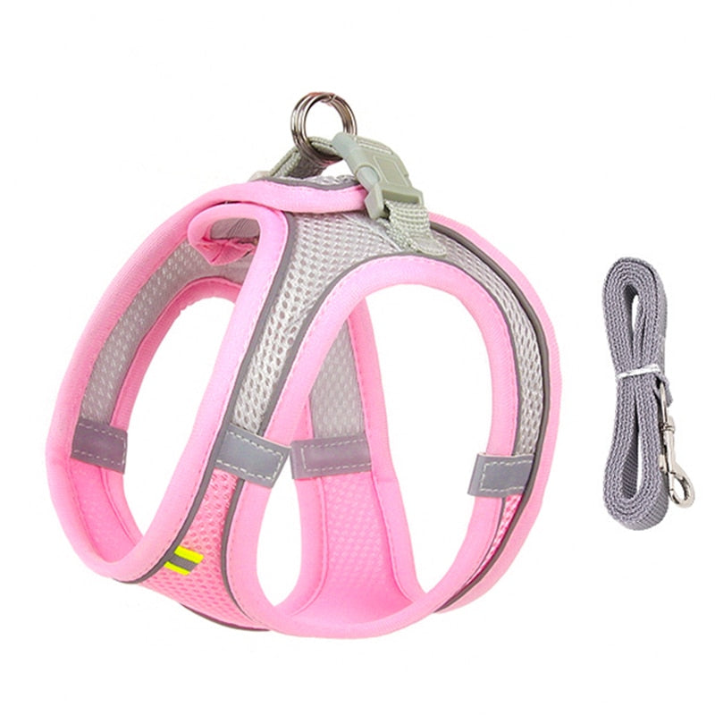 Dog harness & leash set for small dogs