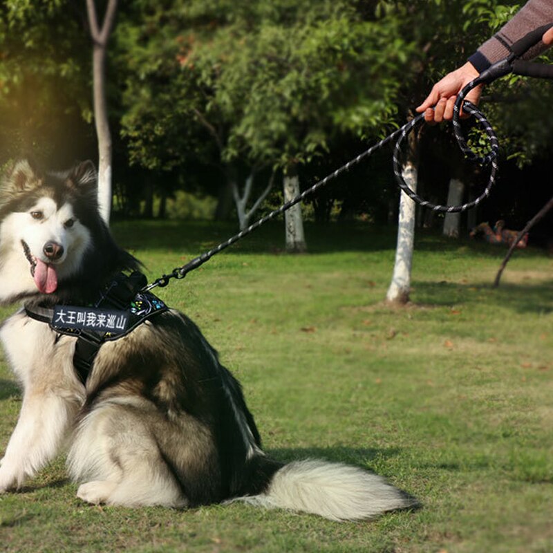 CAWAYI KENNEL Nylon Reflective Dog Lead