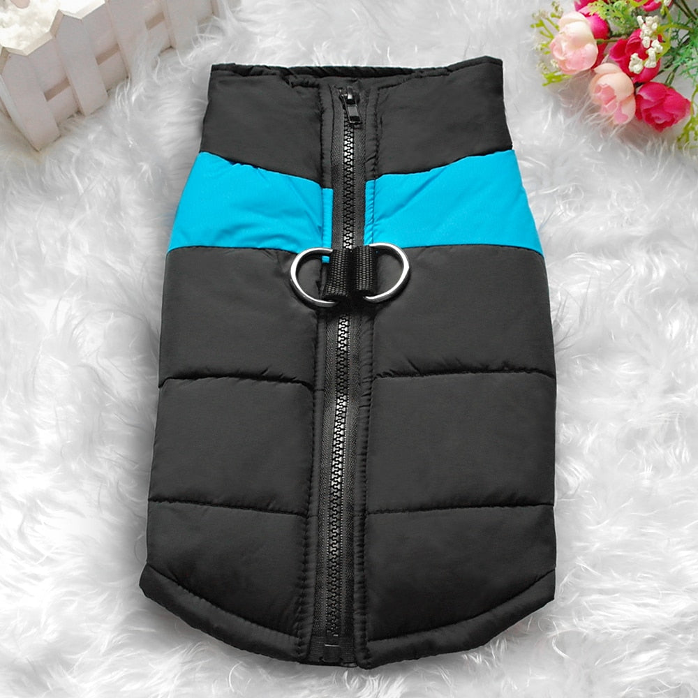 Winter dog vest