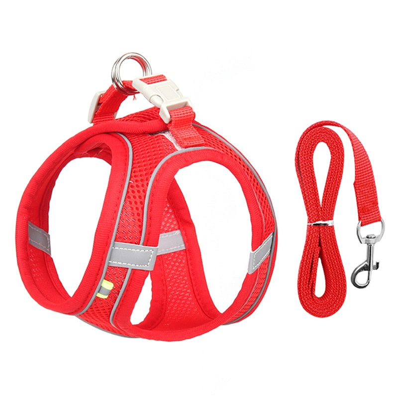 Dog harness & leash set for small dogs